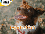 Important Pets: 2024 Wall Calendar (Published)