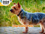 Impressive Pets Volume Five: 2024 Wall Calendar (Published)