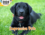 Impressive Pets: 2024 Wall Calendar (Published)