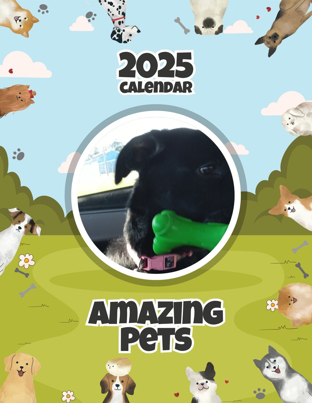 Amazing Pets: 2025 Wall Calendar (Pre-Order)