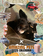 Amazing Pets: 2025 Wall Calendar (Pre-Order)