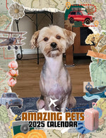 Amazing Pets: 2025 Wall Calendar (Pre-Order)