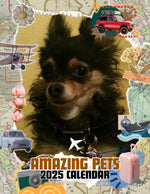 Amazing Pets: 2025 Wall Calendar (Pre-Order)