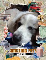 Amazing Pets: 2025 Wall Calendar (Pre-Order)