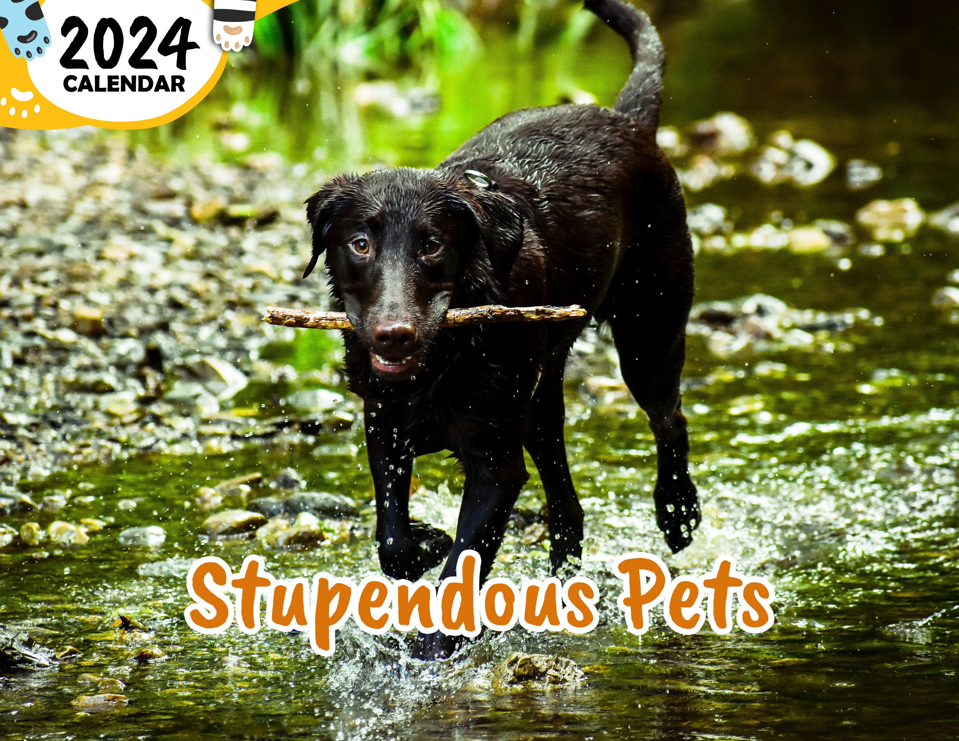 Stupendous Pets 2024 Wall Calendar (Published) Praise My Pet!