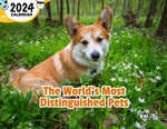 The World's Most Distinguished Pets Volume Nine: 2024 Wall Calendar (Published)