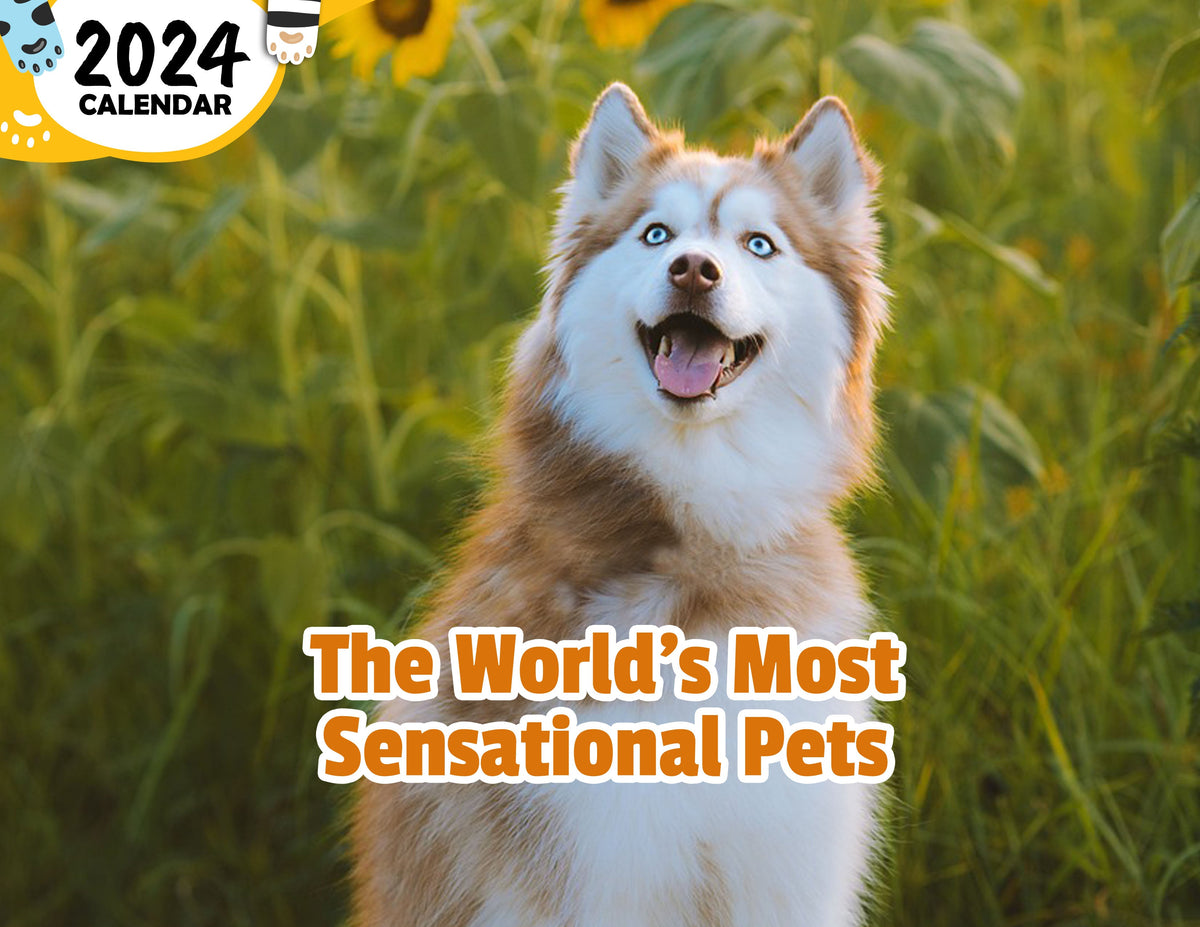 the-world-s-most-sensational-pets-2024-wall-calendar-published