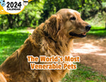 The World's Most Venerable Pets: 2024 Wall Calendar (Published)