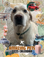 Amazing Pets: 2025 Wall Calendar (Pre-Order)