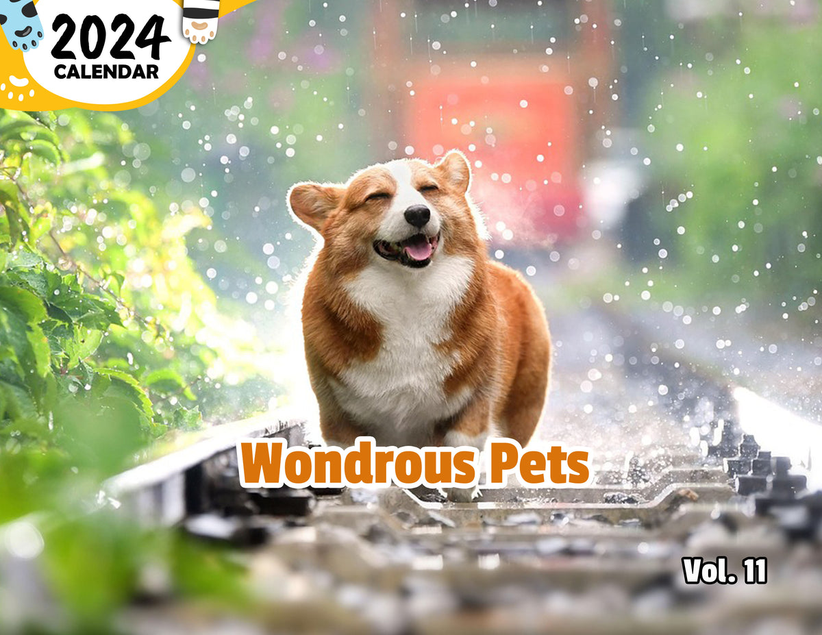 Wondrous pets volume eleven: 2024 wall calendar (published) – praise my pet!