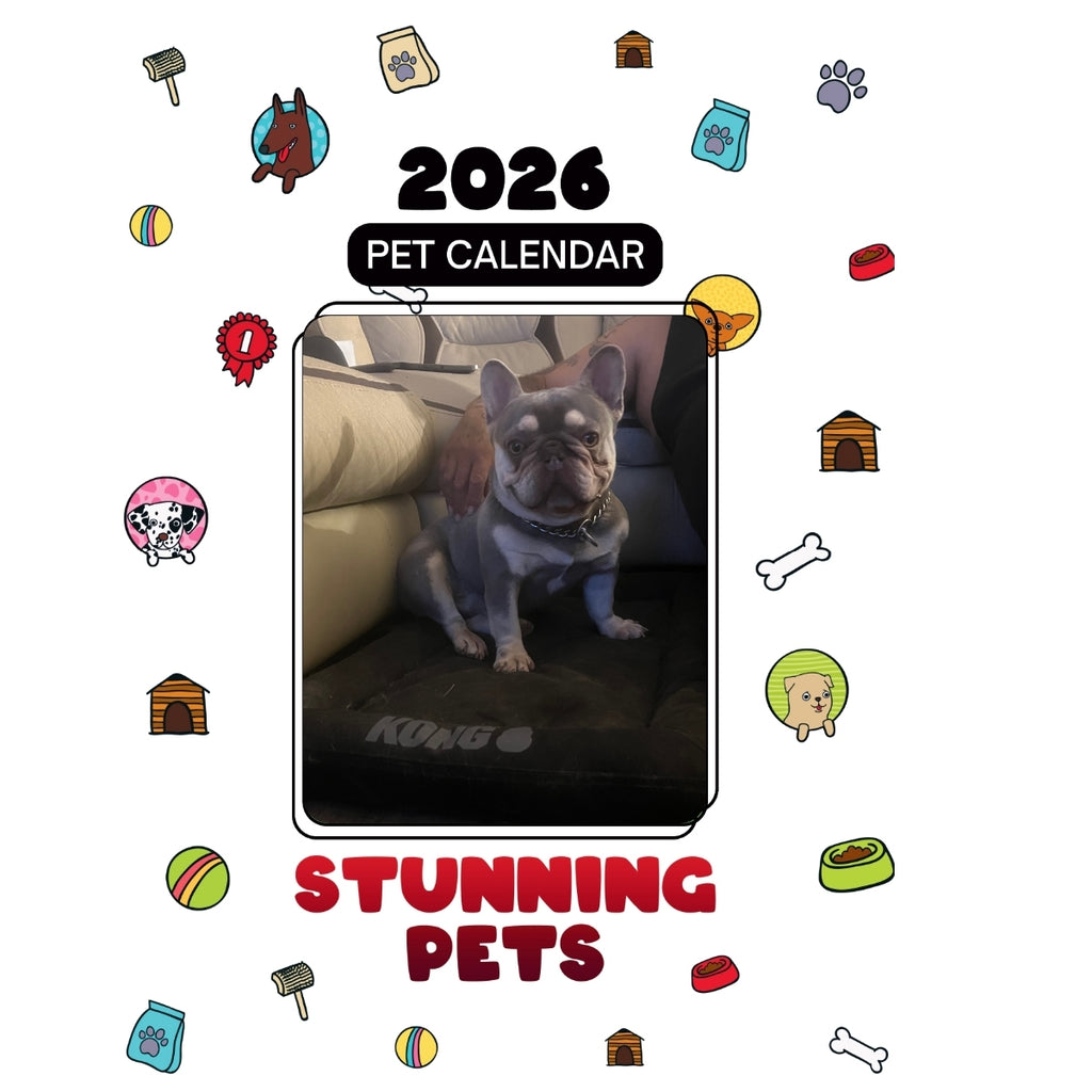 03 Greedo Headlines Stunning Pets: A 2026 Pet Calendar