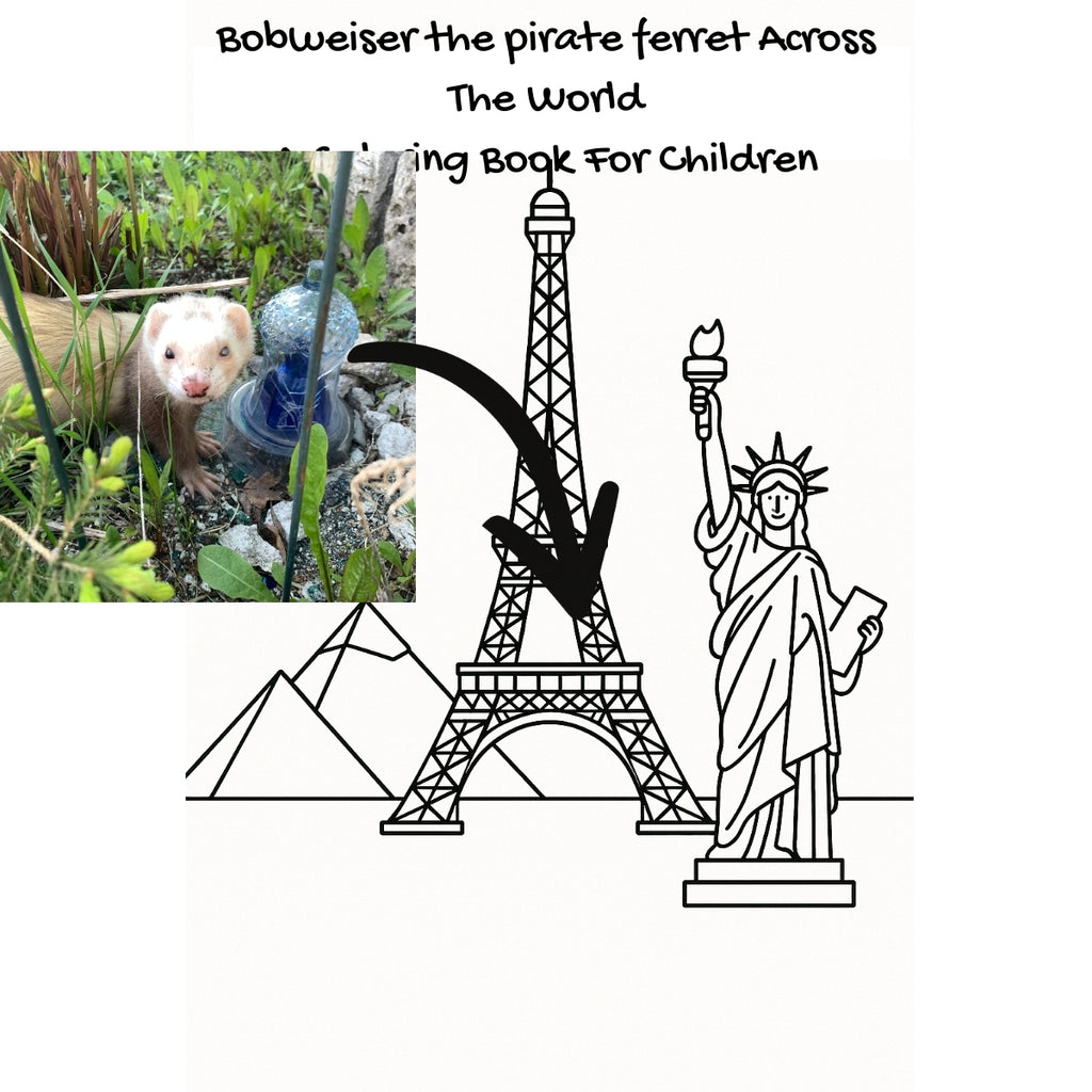 Bobweiser the pirate ferret Across The World: A Coloring Book For Children