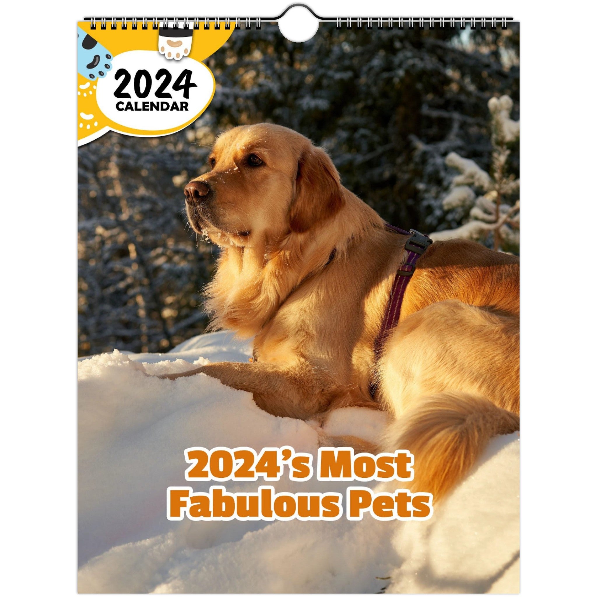 2024's Most Fabulous Pets: 2024 Wall Calendar (Published)