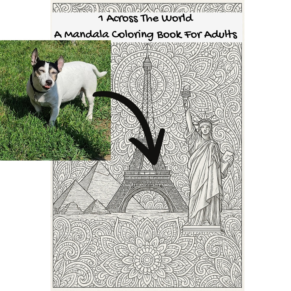 1 Across The World: A Mandala Coloring Book For Adults