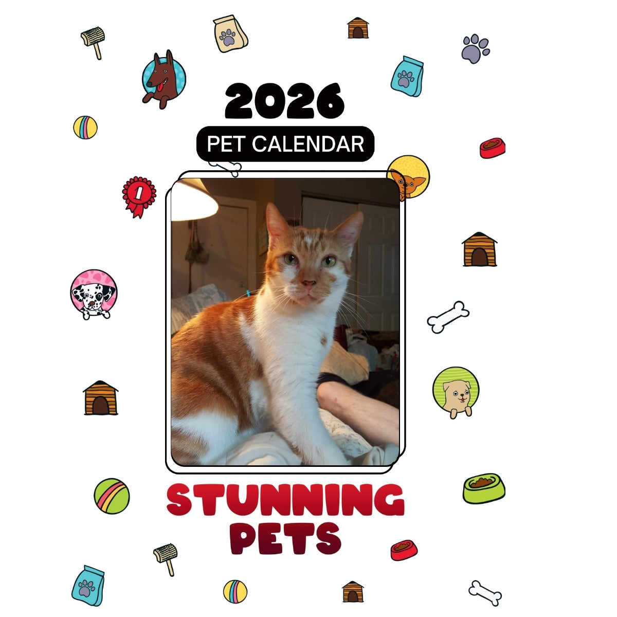 1 Headlines Stunning Pets: A 2026 Pet Calendar
