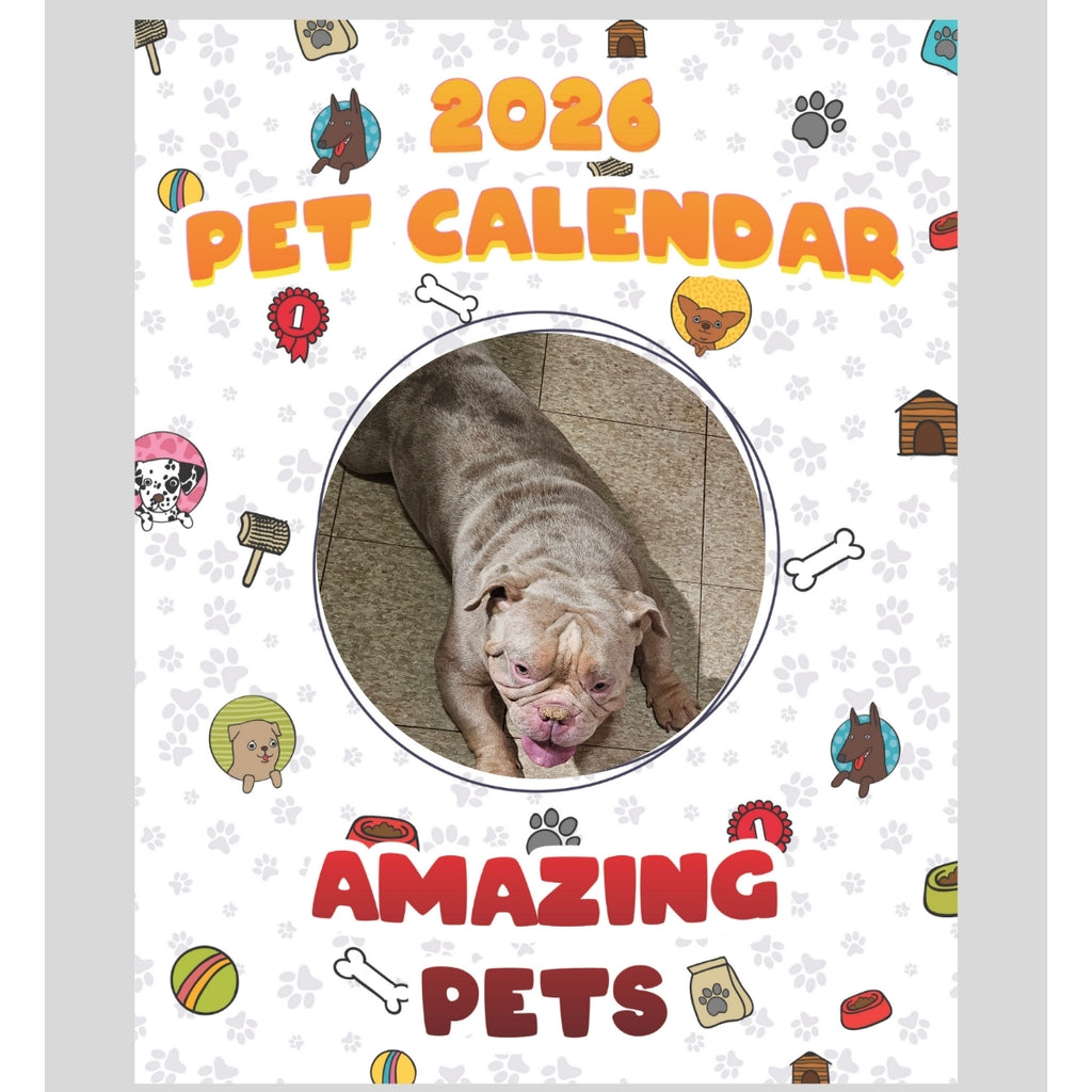 347-217-3377 Stars in Amazing Pets: A 2026 Pet Calendar