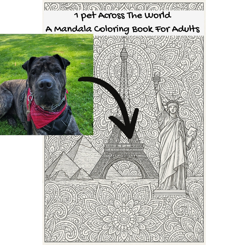 1 pet Across The World: A Mandala Coloring Book For Adults