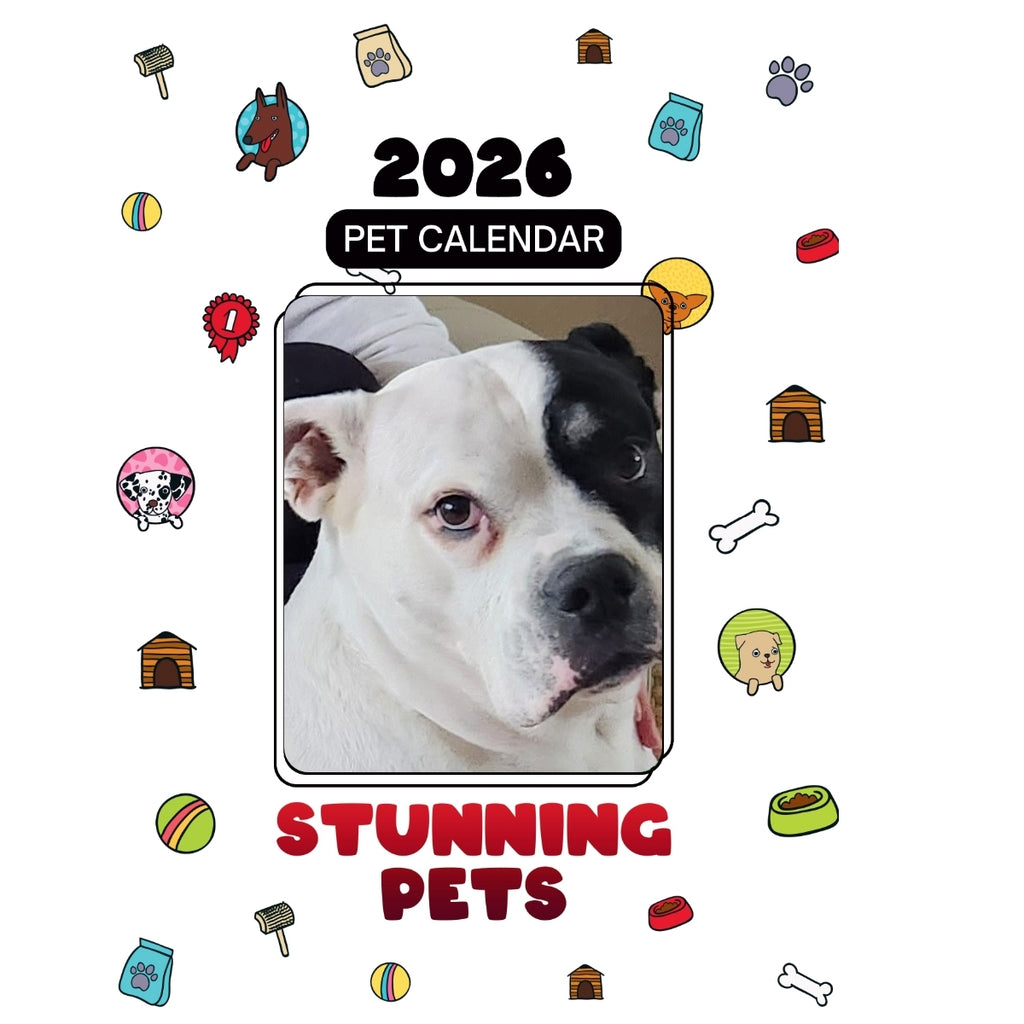 American Bulldog Stars in Stunning Pets: A 2026 Pet Calendar