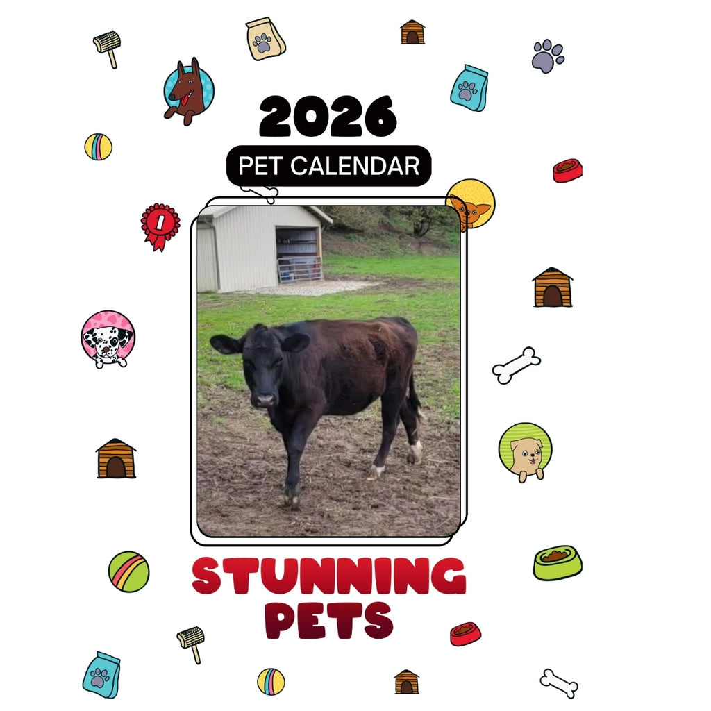 2 Socks Headlines Stunning Pets: A 2026 Pet Calendar