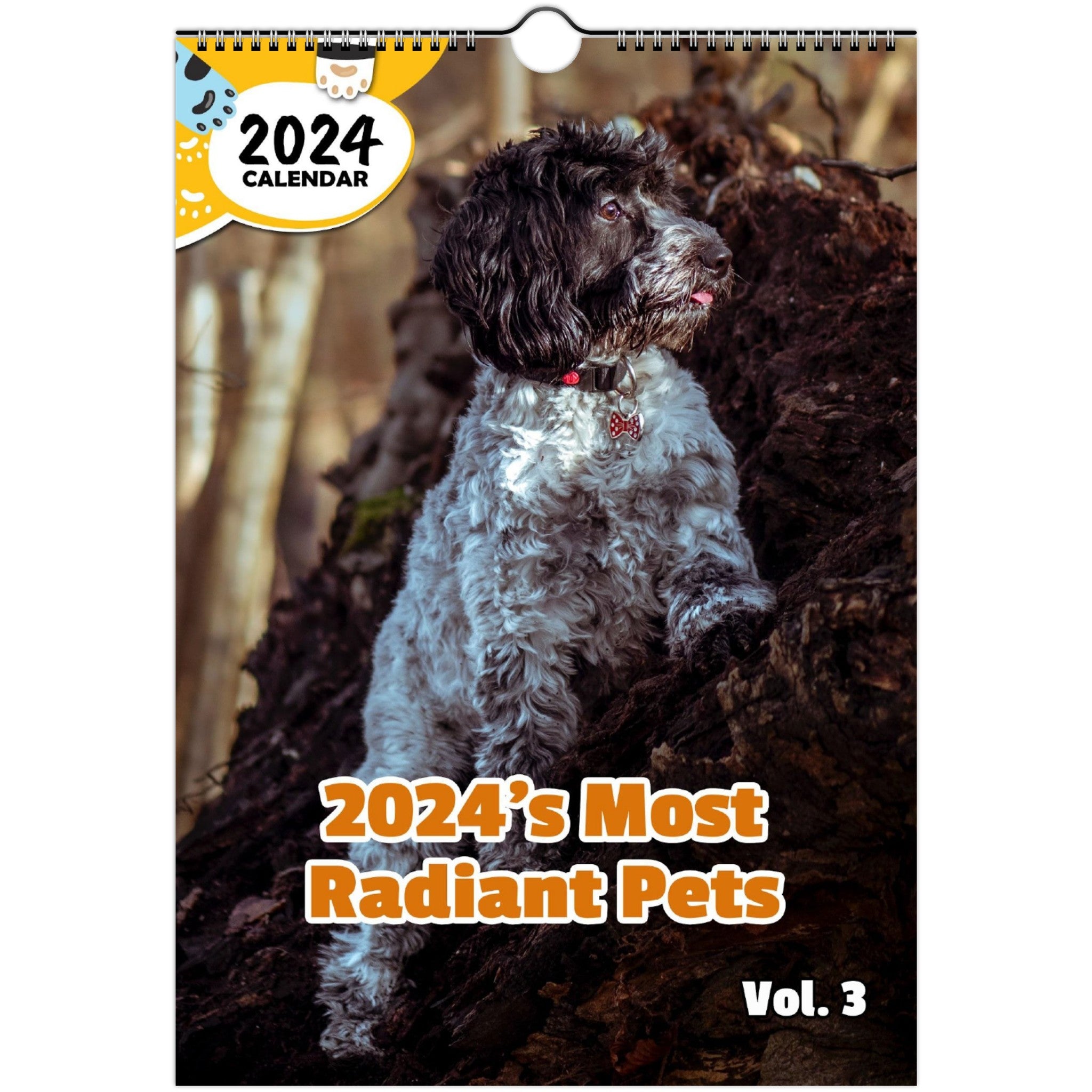 2024's Most Radiant Pets Volume Three: 2024 Wall Calendar (Published)