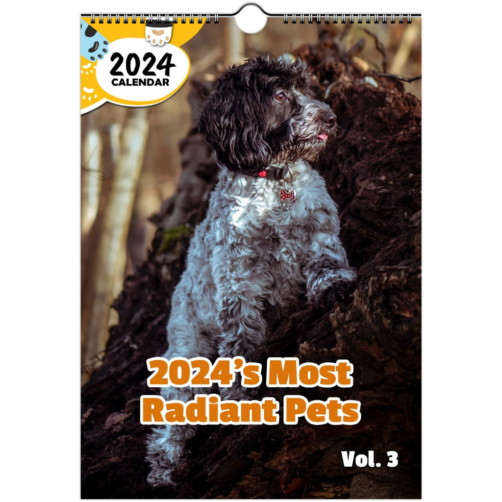 2024's Most Radiant Pets Volume Three: 2024 Wall Calendar (Published)