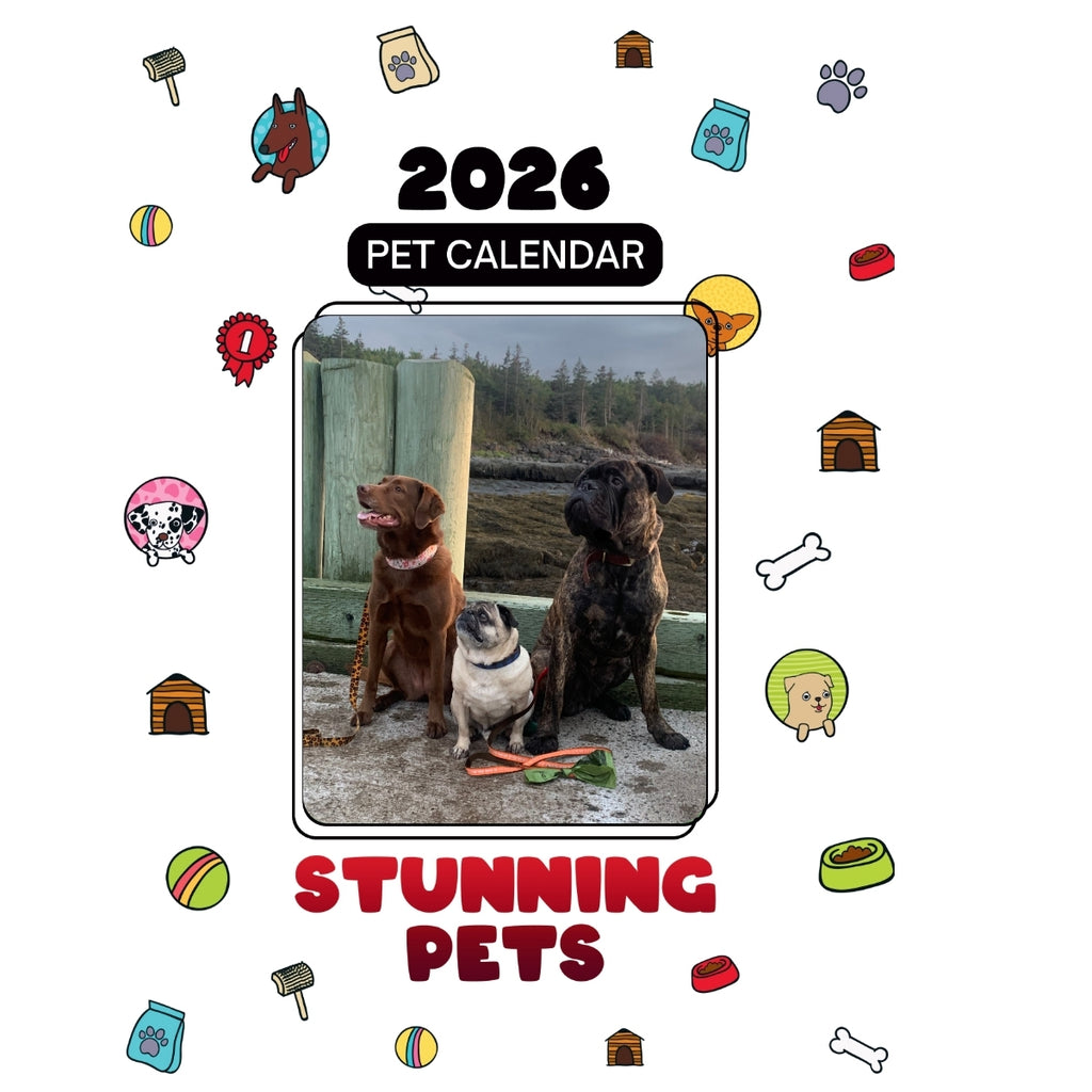 Leroy(Pug), Lois (Lab mix), & Baron (Bullmastiff) Headlines Stunning Pets: A 2026 Pet Calendar
