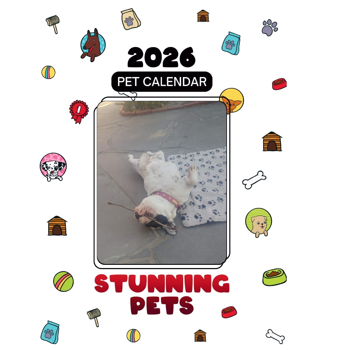 1 Headlines Stunning Pets: A 2026 Pet Calendar