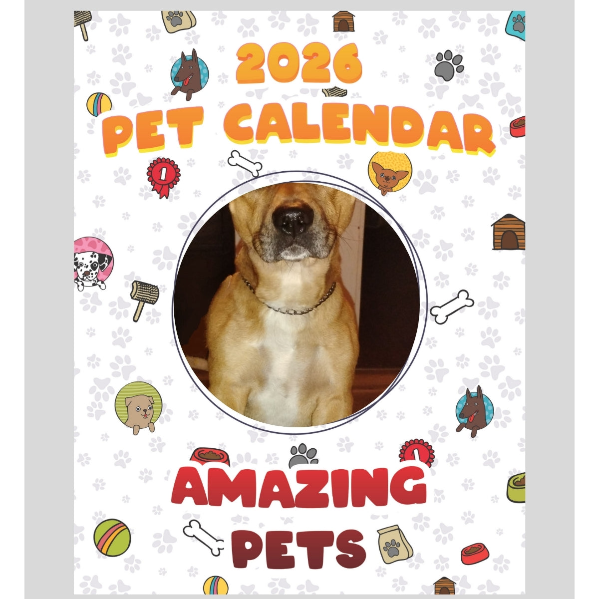 Chihuahua pitbull mix Stars in Stunning Pets: A 2026 Pet Calendar