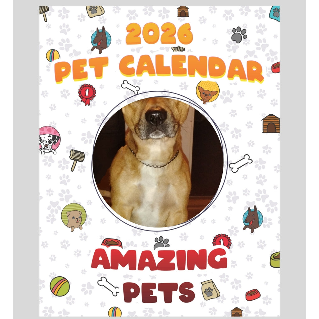 Chihuahua pitbull mix Stars in Stunning Pets: A 2026 Pet Calendar