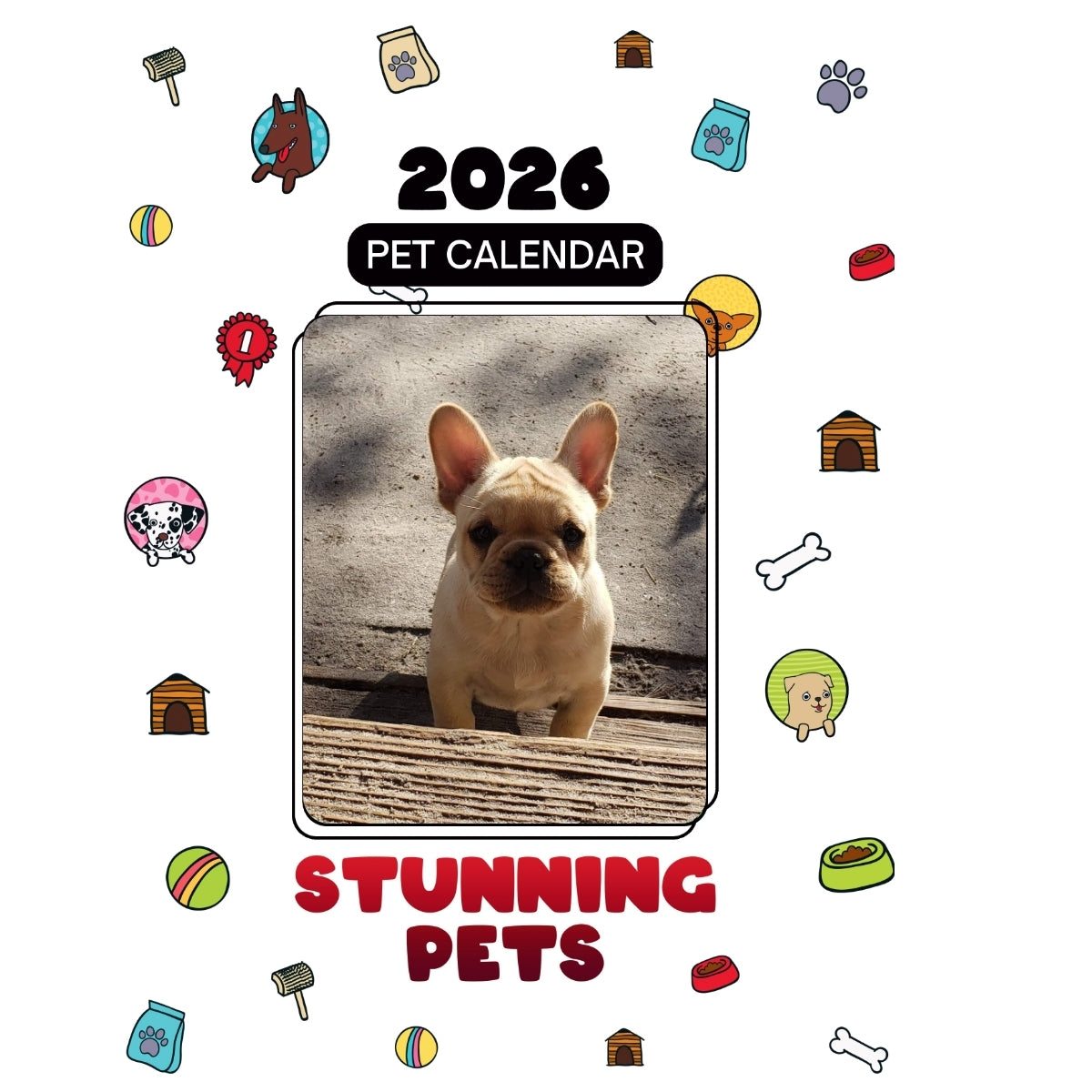 7Ven Headlines Stunning Pets: A 2026 Pet Calendar