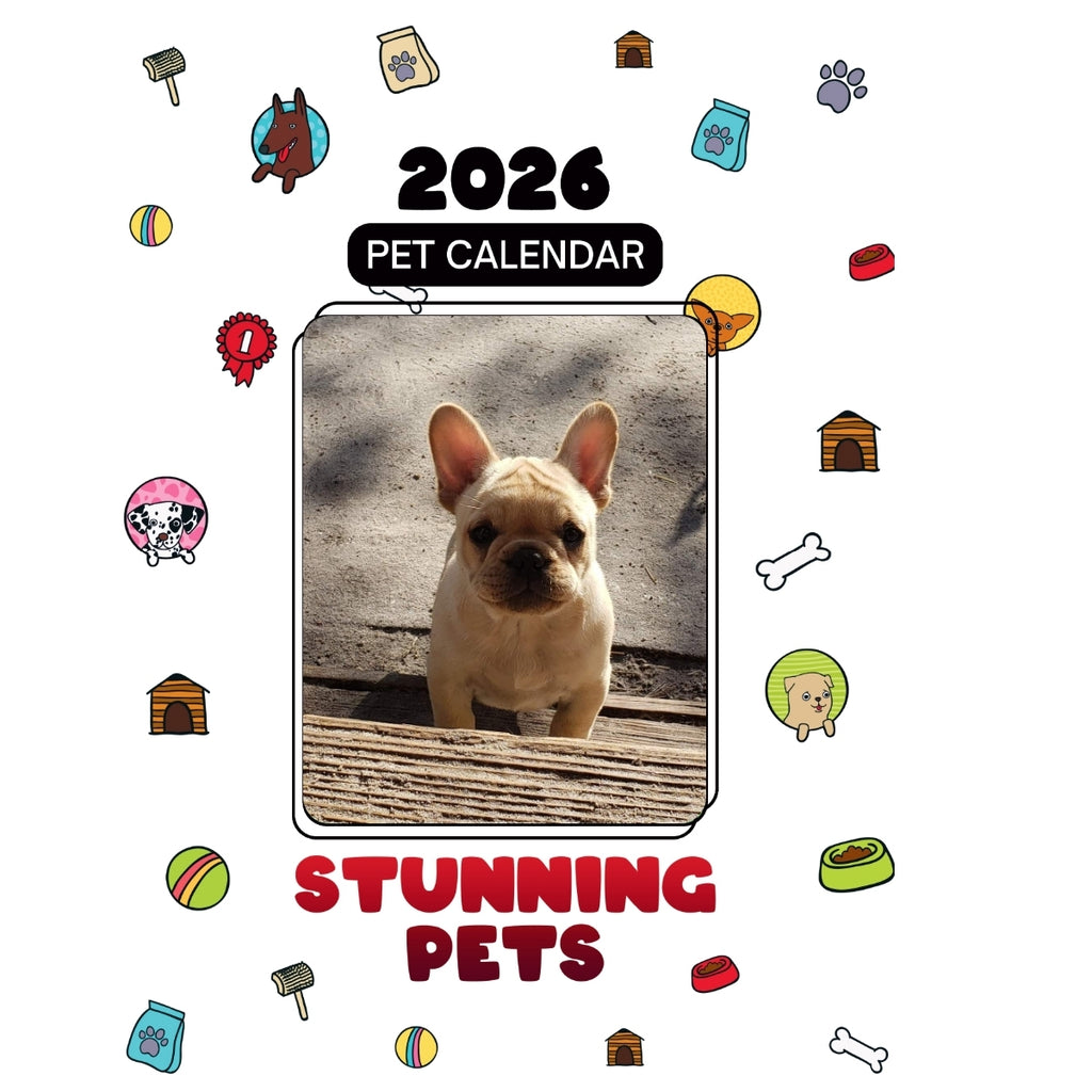 7Ven Headlines Stunning Pets: A 2026 Pet Calendar