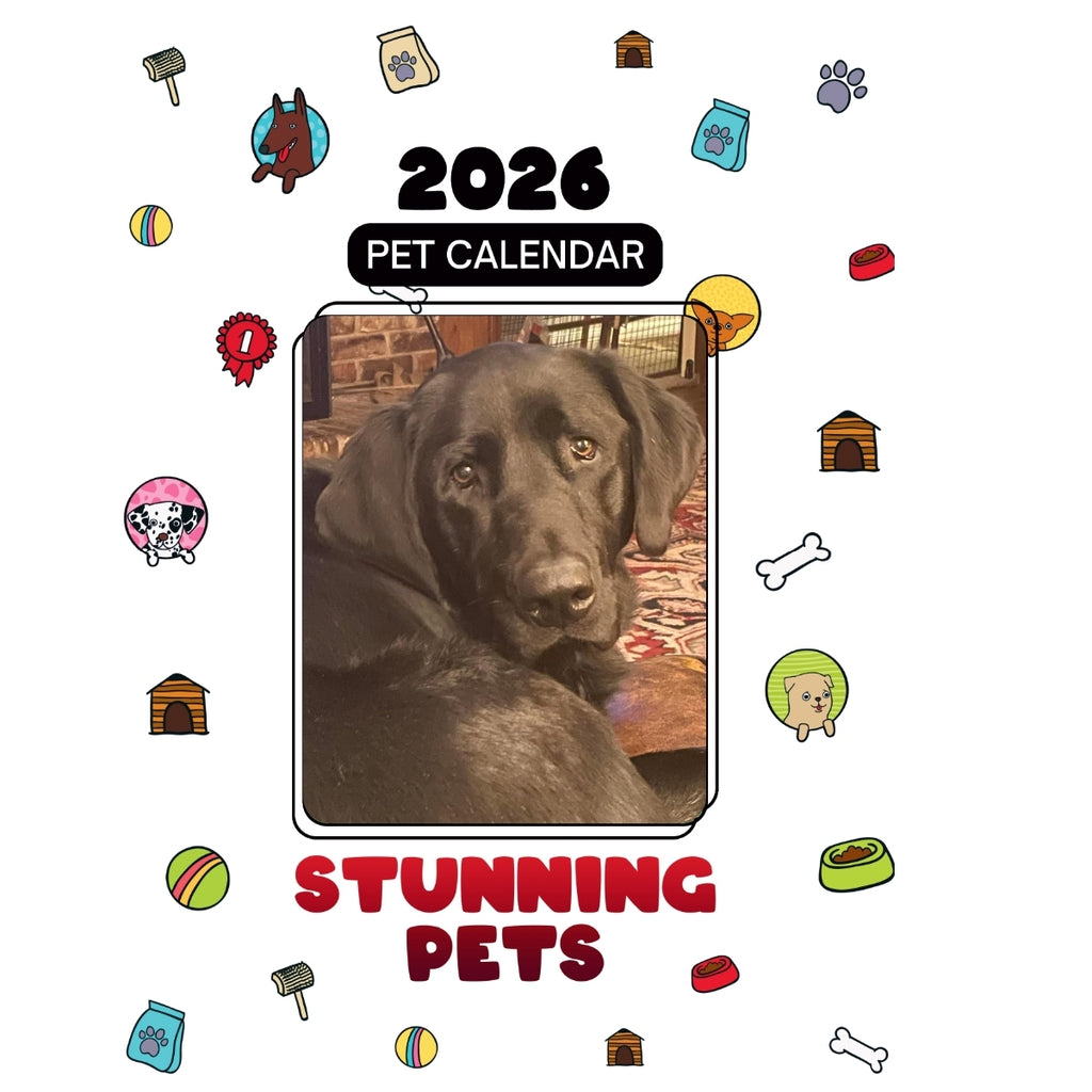 (Girl) Scout Headlines Stunning Pets: A 2026 Pet Calendar