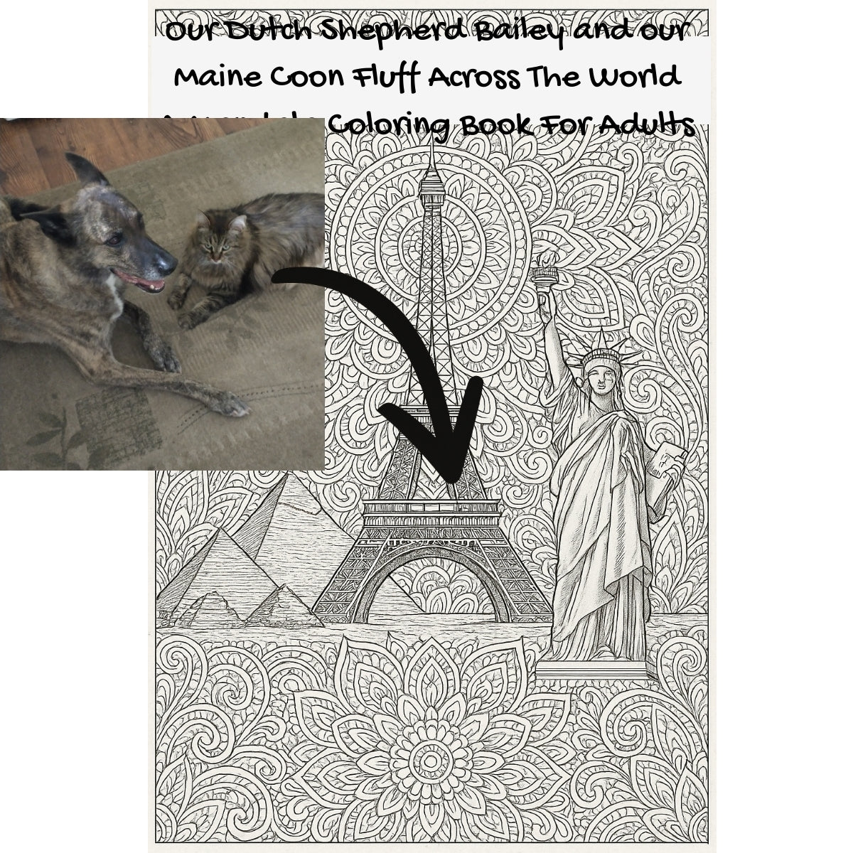 Our Dutch  Shepherd Bailey and our Maine Coon Fluff Across The World: A Mandala Coloring Book For Adults