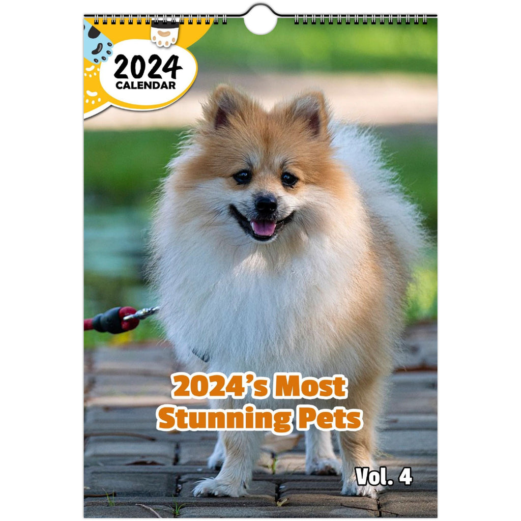 2024's Most Stunning Pets Volume Four: 2024 Wall Calendar (Published)