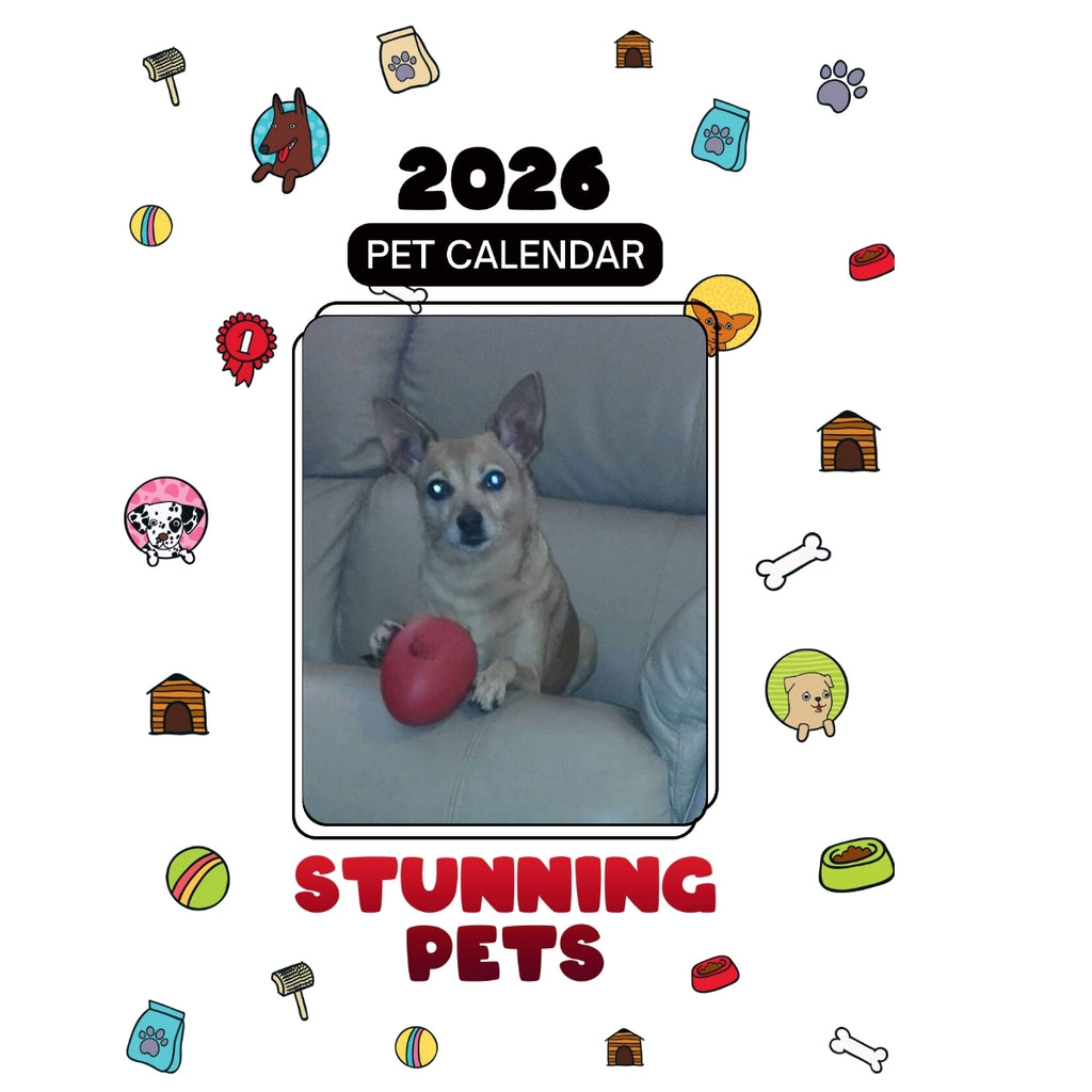 1 Headlines Stunning Pets: A 2026 Pet Calendar