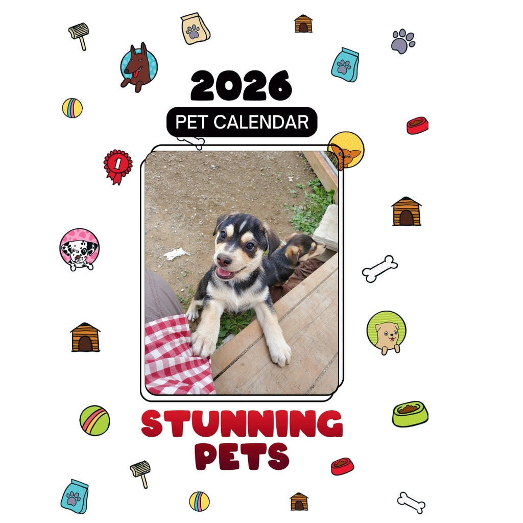 1 Headlines Stunning Pets: A 2026 Pet Calendar