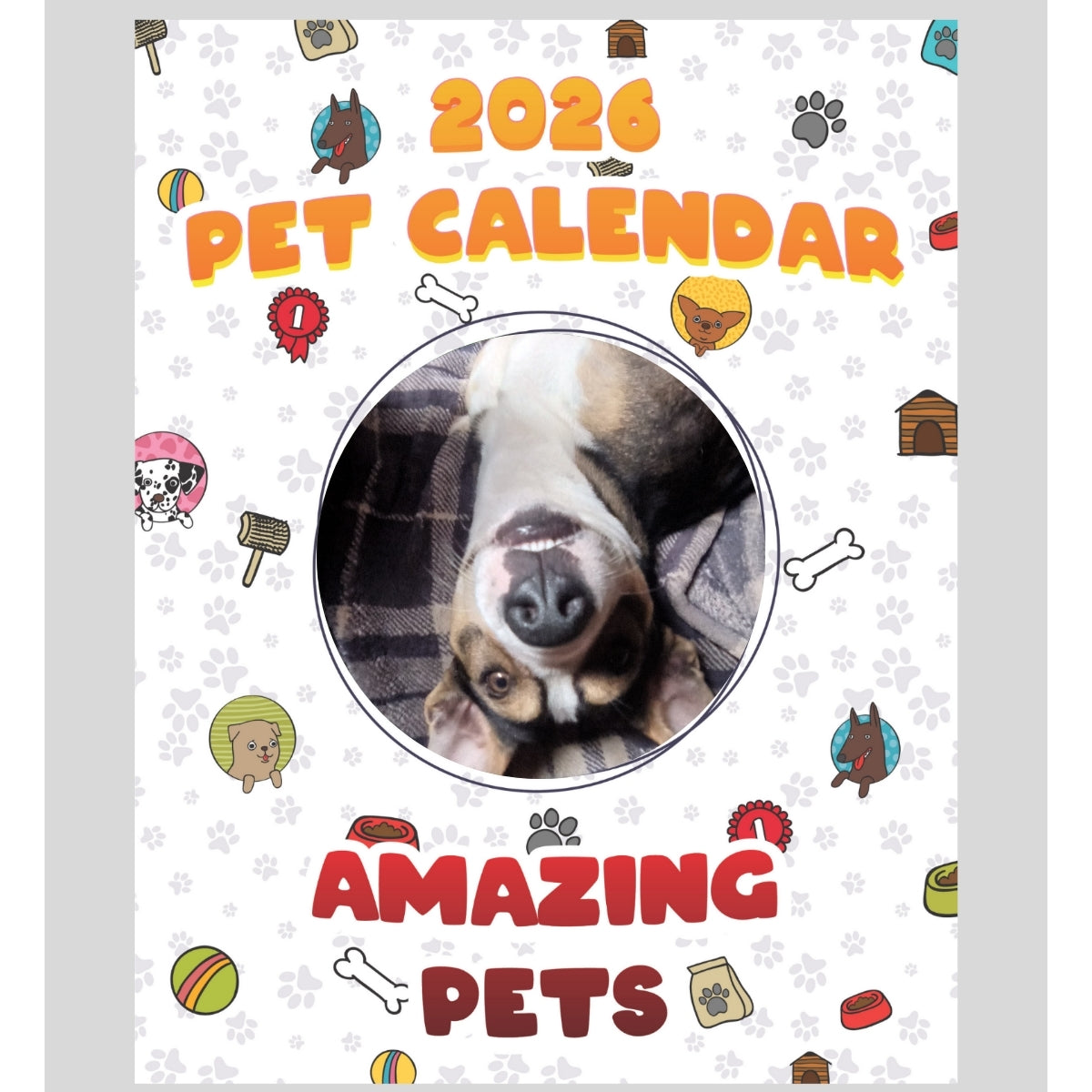 53 Stars in Amazing Pets: A 2026 Pet Calendar