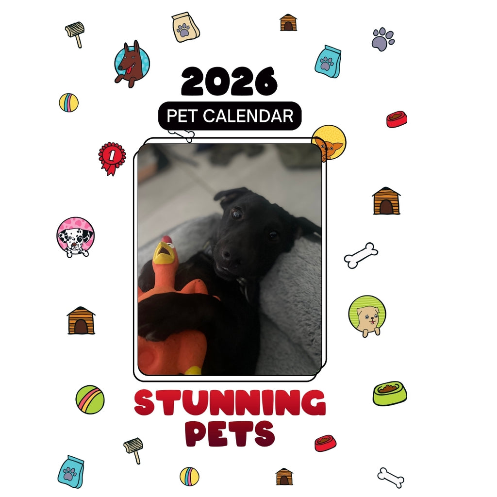 2 Headlines Stunning Pets: A 2026 Pet Calendar