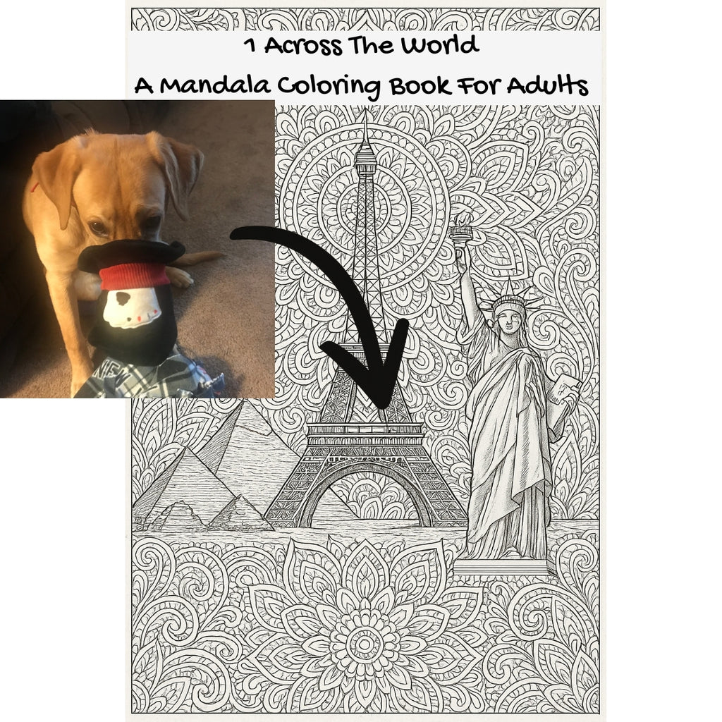 1 Across The World: A Mandala Coloring Book For Adults