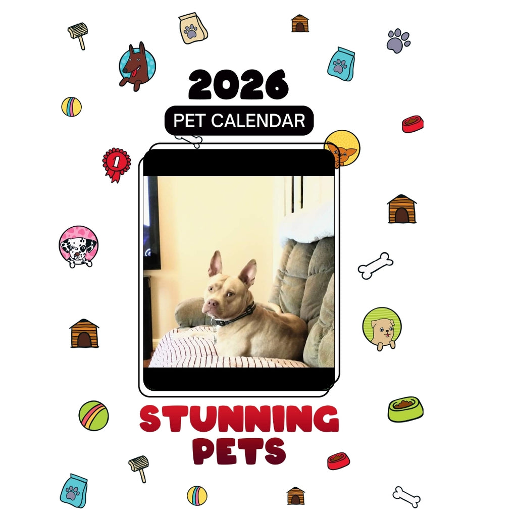 Jackrabbit Headlines Stunning Pets: A 2026 Pet Calendar