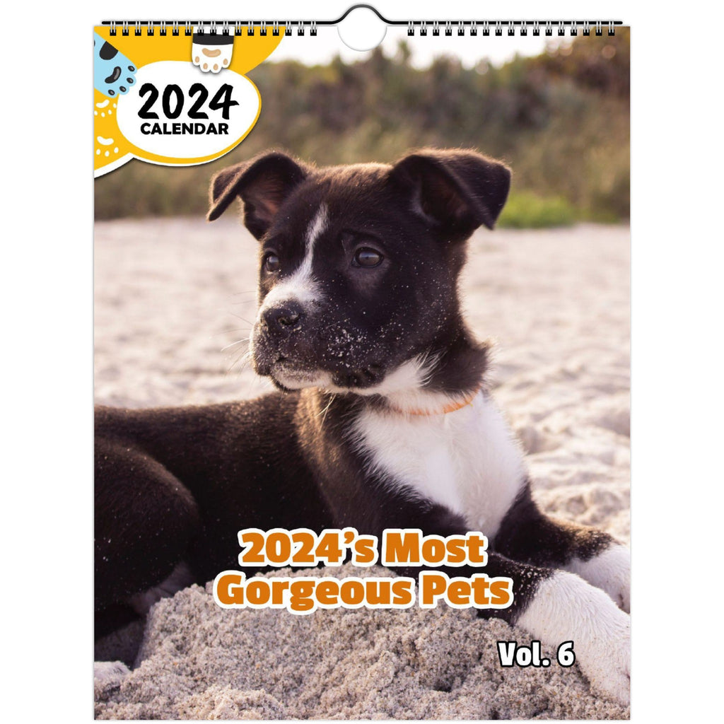 2024's Most Gorgeous Pets Volume Six: 2024 Wall Calendar (Published)