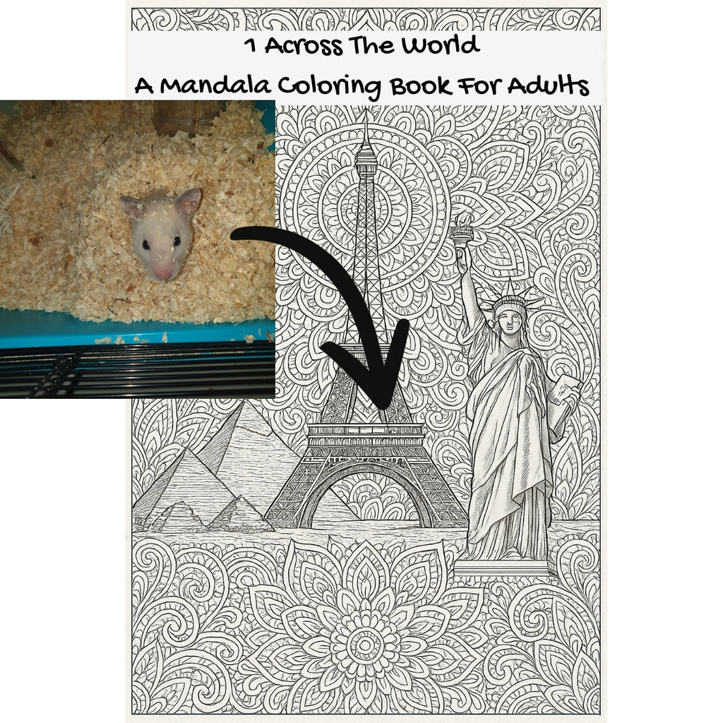 1 Across The World: A Mandala Coloring Book For Adults