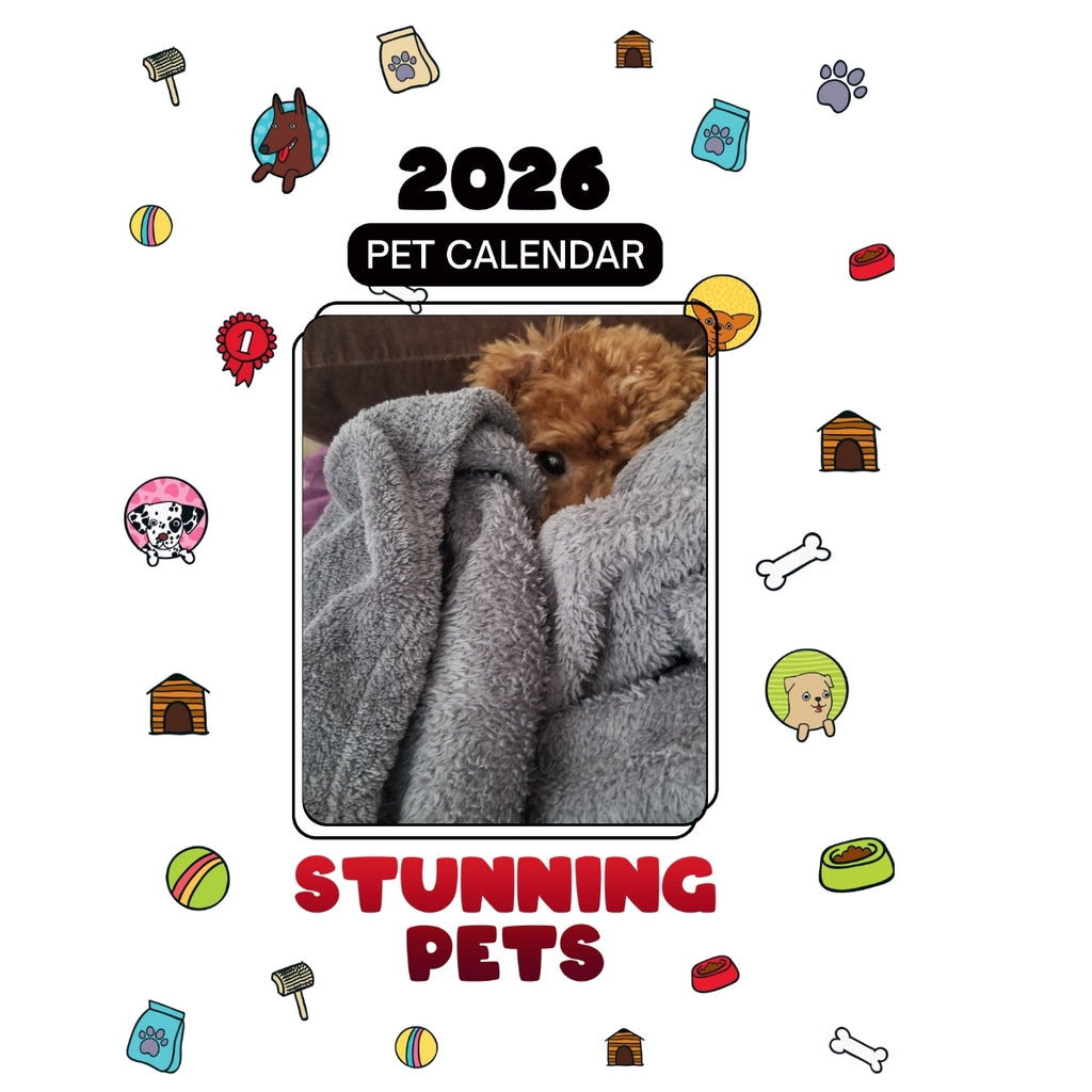 1 Headlines Stunning Pets: A 2026 Pet Calendar