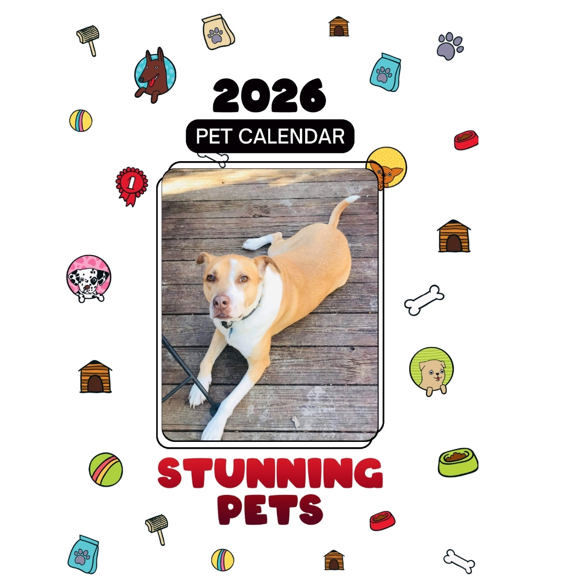 2Socks Headlines Stunning Pets: A 2026 Pet Calendar