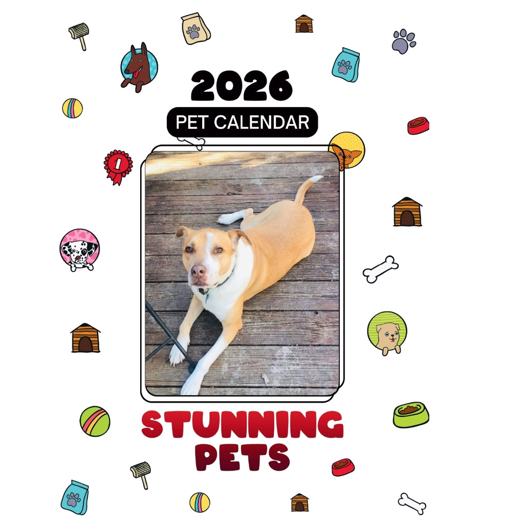 2Socks Headlines Stunning Pets: A 2026 Pet Calendar