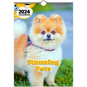 Stunning Pets: 2024 Wall Calendar (United Kingdom)