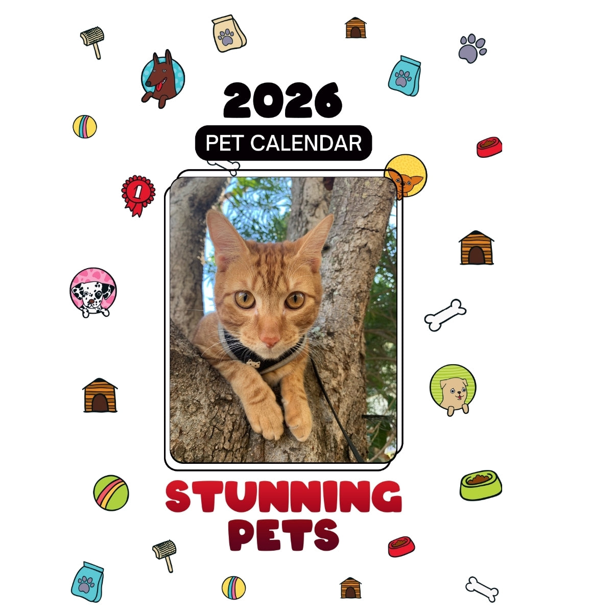 1 Headlines Stunning Pets: A 2026 Pet Calendar