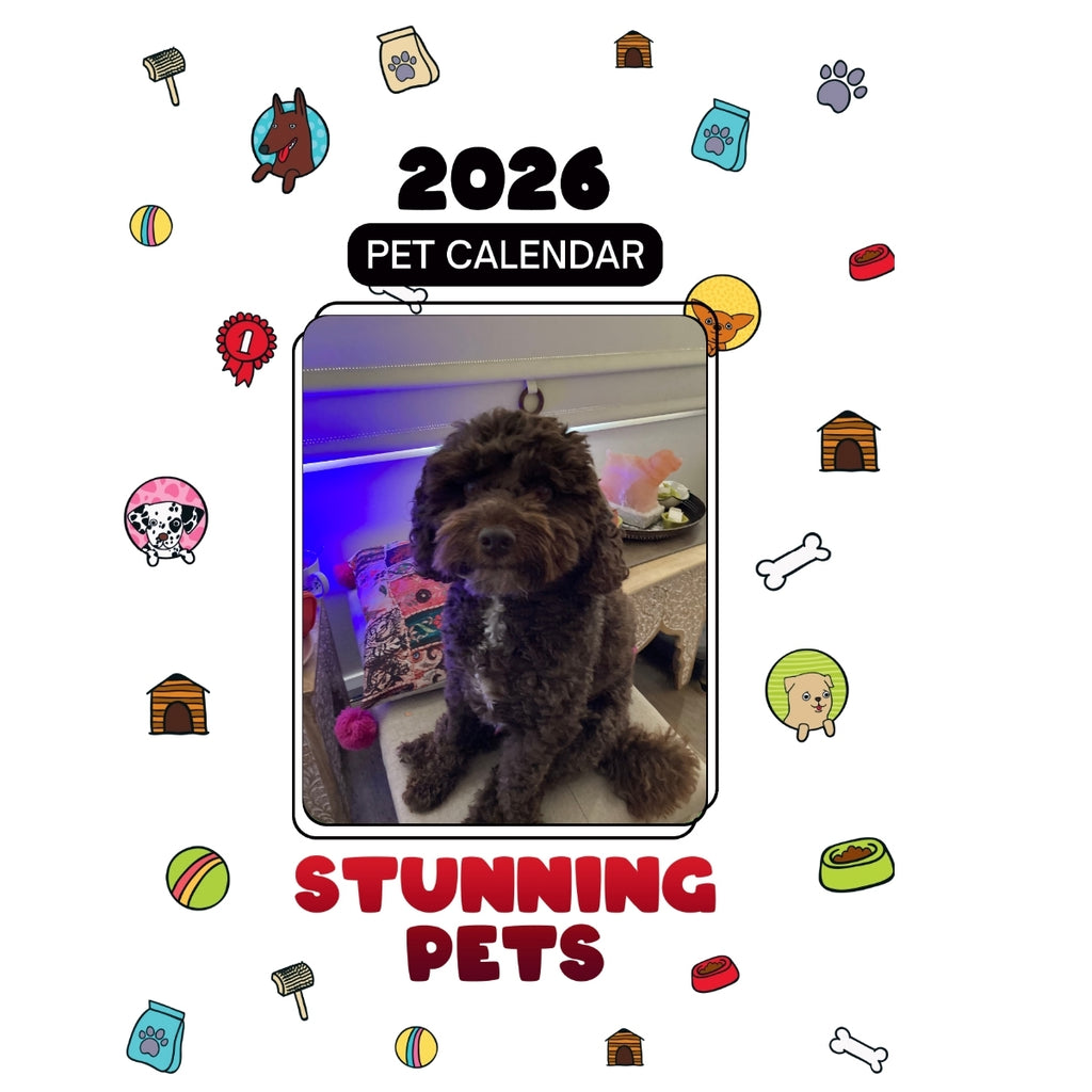 1 Headlines Stunning Pets: A 2026 Pet Calendar