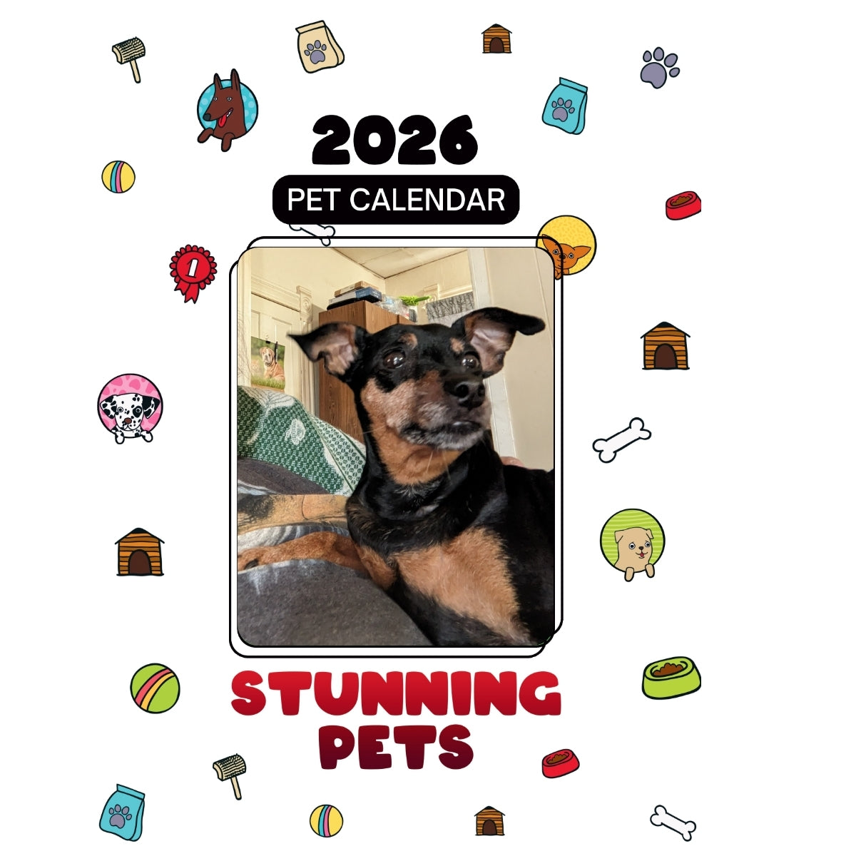 13 Headlines Stunning Pets: A 2026 Pet Calendar