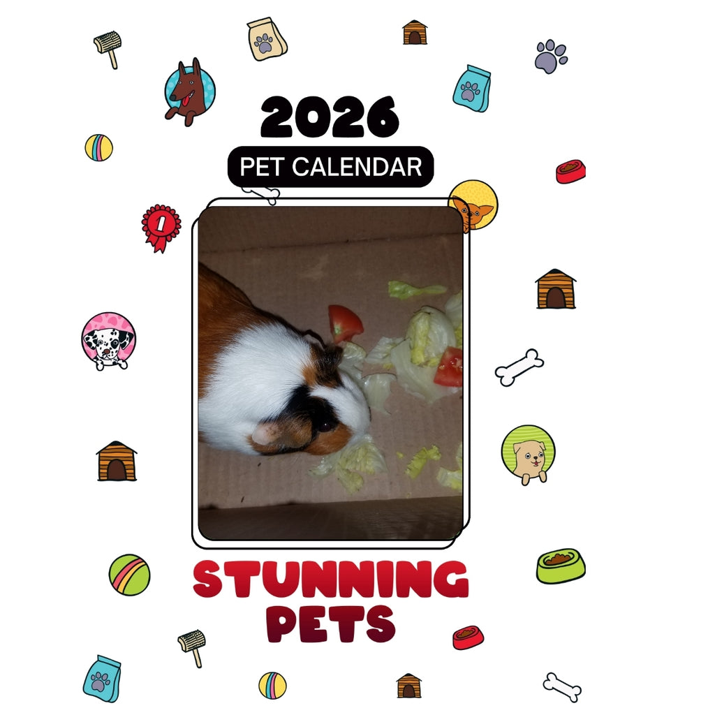 Guinea Pig Headlines Stunning Pets: A 2026 Pet Calendar